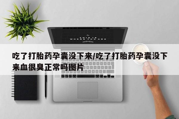 药流药如何购买吃了打胎药孕囊没下来/吃了打胎药孕囊没下来血很臭正常吗图片
